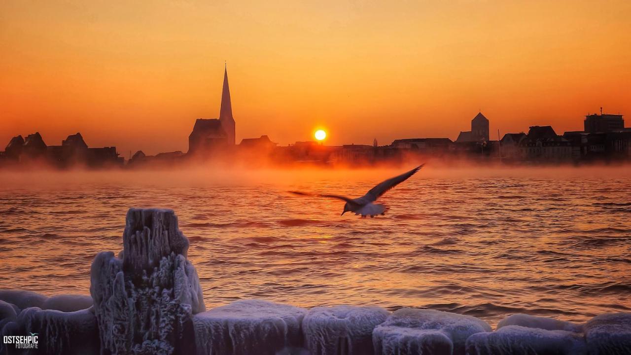 Seestern * Rostock